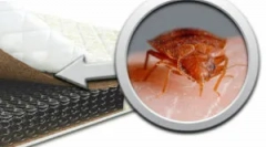 Ako uložiť matrac z ploštitu?